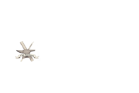 The Foamory Logo